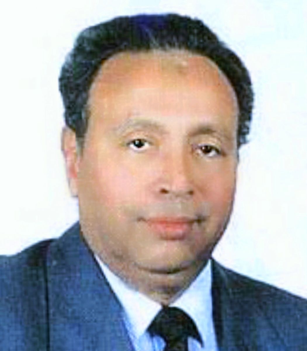 محمود محمد الطناحي